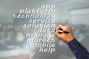 爱游戏-NBA球队市场营销策略与品牌建设，nba的营销策略