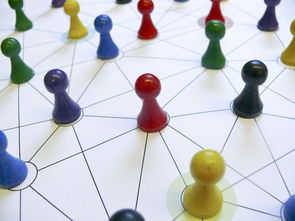 爱游戏娱乐-中国篮球教练员战术执行力提升路径分析,中国篮球教练员等级划分标准