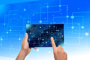 爱游戏娱乐-中国篮球教练员战术执行力提升路径分析,中国篮球教练员等级划分标准