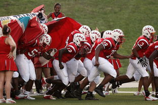 AYX体育官网-国家队技战术水平提升瓶颈，国家技巧队